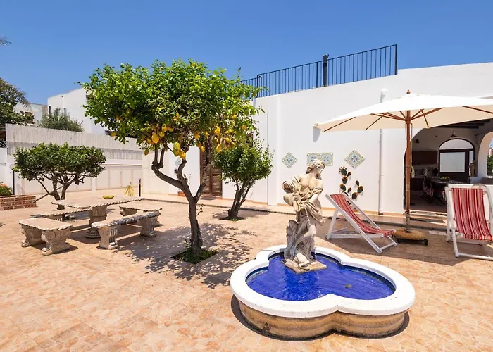 Loretta ليباري